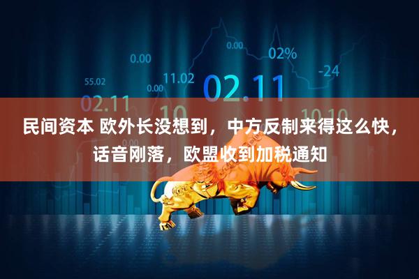 民间资本 欧外长没想到，中方反制来得这么快，话音刚落，欧盟收到加税通知