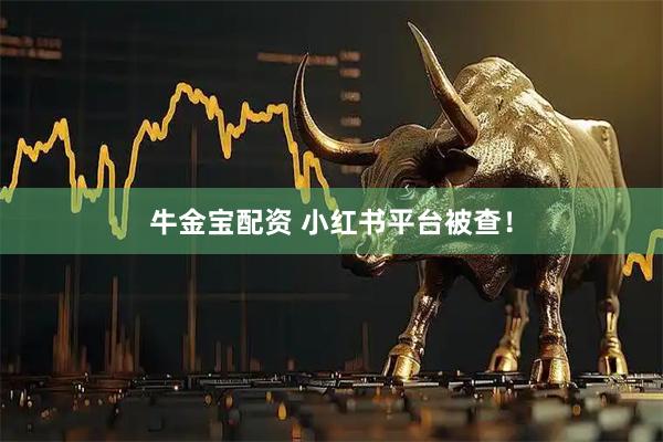 牛金宝配资 小红书平台被查！