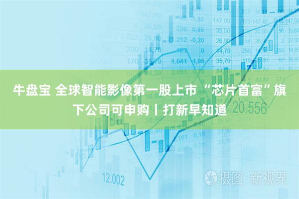 牛盘宝 全球智能影像第一股上市 “芯片首富”旗下公司可申购丨打新早知道