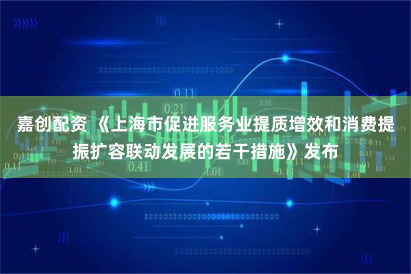 嘉创配资 《上海市促进服务业提质增效和消费提振扩容联动发展的若干措施》发布