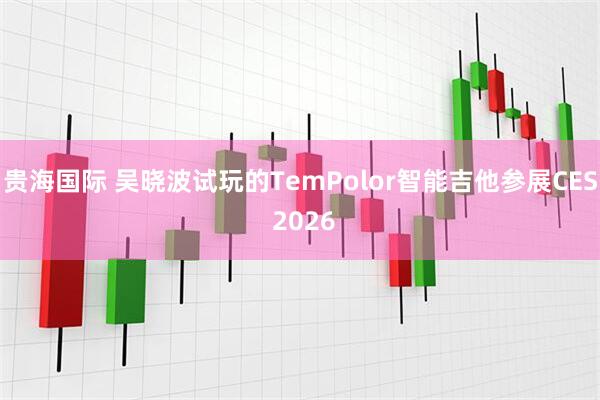 贵海国际 吴晓波试玩的TemPolor智能吉他参展CES 2026