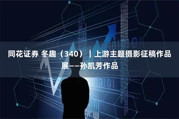 同花证券 冬趣（340）｜上游主题摄影征稿作品展——孙凯芳作品