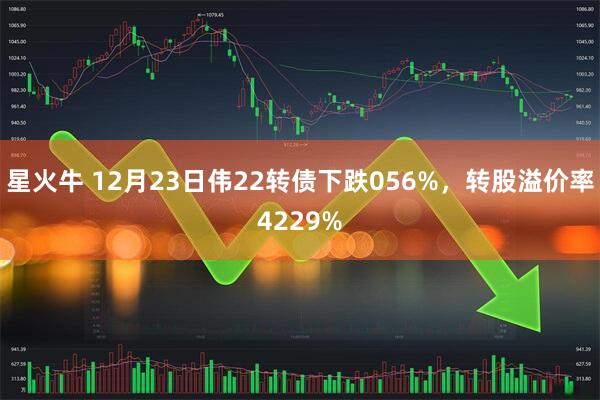 星火牛 12月23日伟22转债下跌056%，转股溢价率4229%