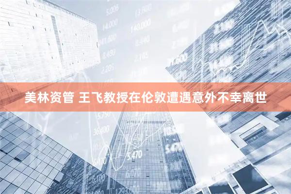 美林资管 王飞教授在伦敦遭遇意外不幸离世