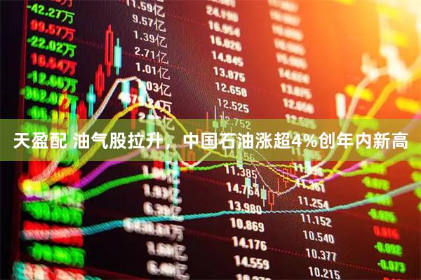 天盈配 油气股拉升，中国石油涨超4%创年内新高