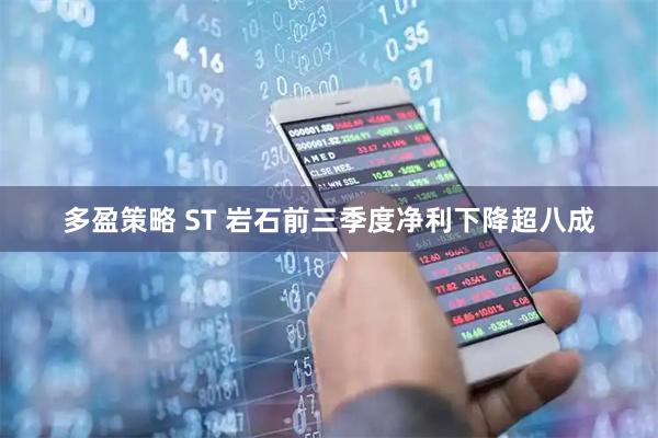 多盈策略 ST 岩石前三季度净利下降超八成
